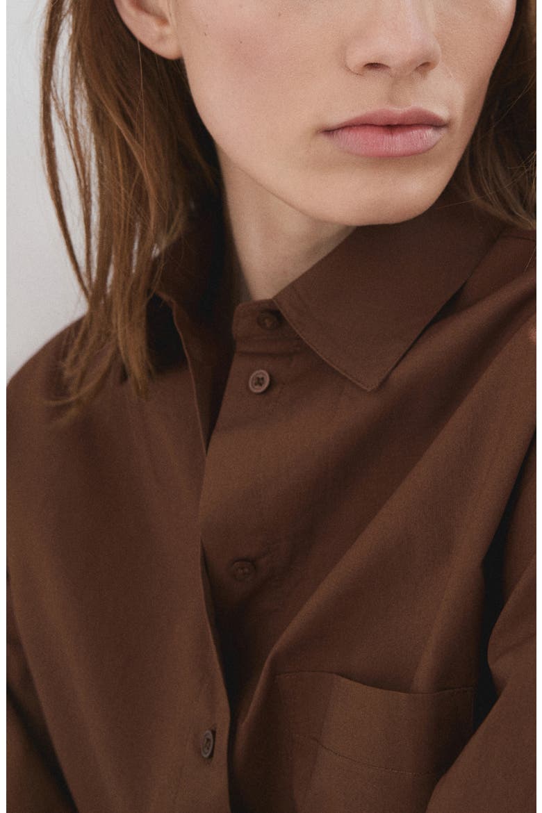 Stripe Cotton Button-Up Shirt, Alternate, color, BROWN