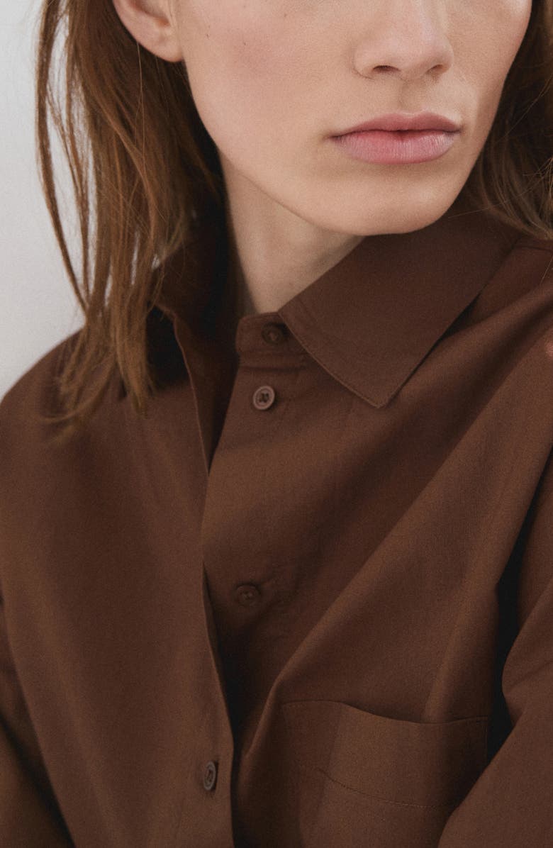 MANGO Stripe Cotton Button-Up Shirt, Alternate, color, Brown
