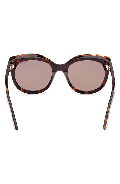 Tom Ford Tamara 54mm Round Sunglasses In Dark Havana/brown