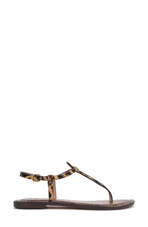 Sam Edelman Gigi Sandal In Cyprus Tan Multi