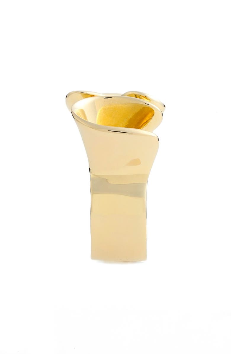 Elizabeth and James , Alternate, color,