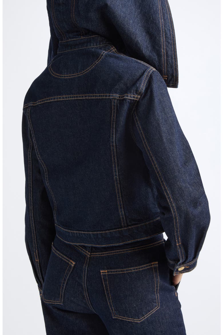 Sybil Faux Shearling Accent Denim Jacket, Alternate, color, TIGRIS