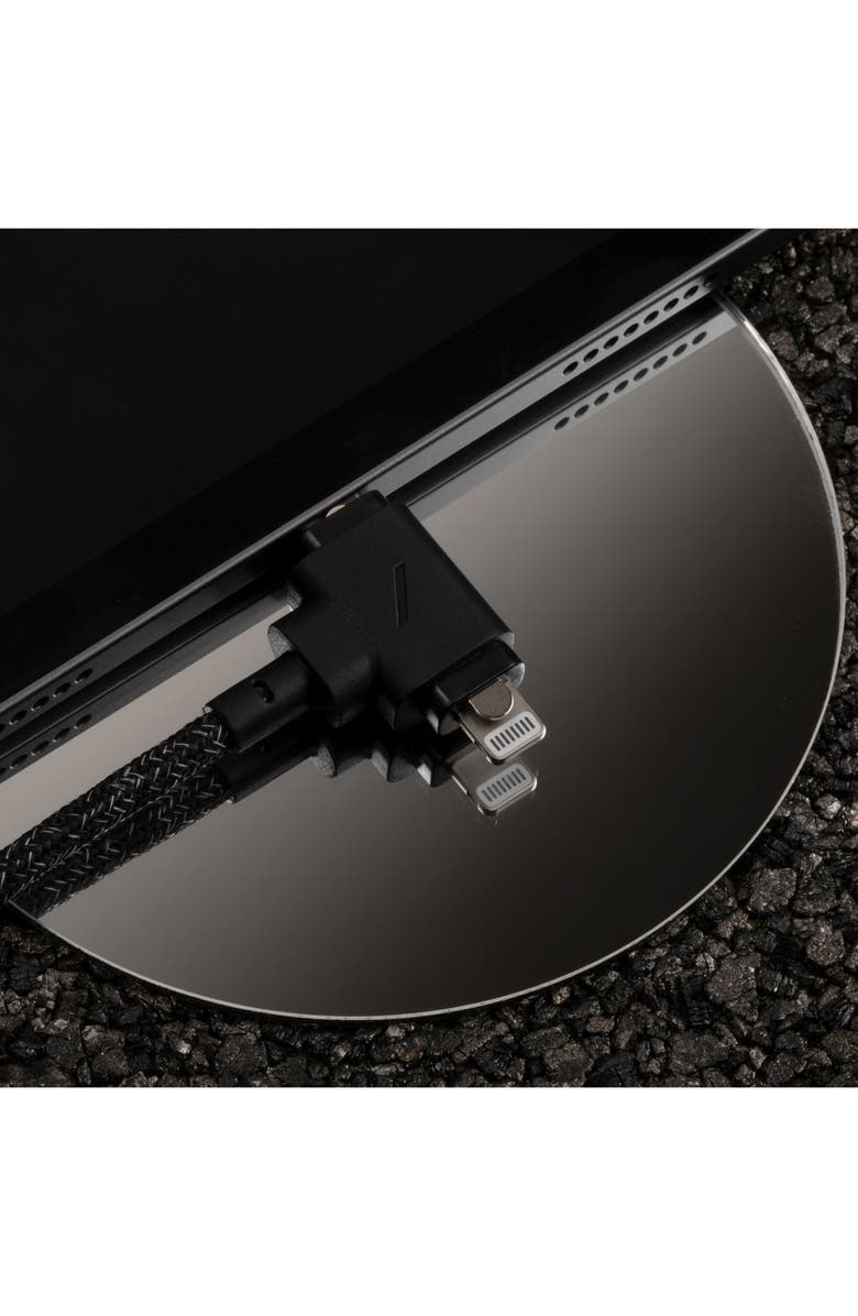 Native Union Belt Power Cable Duo, Alternate, color, 