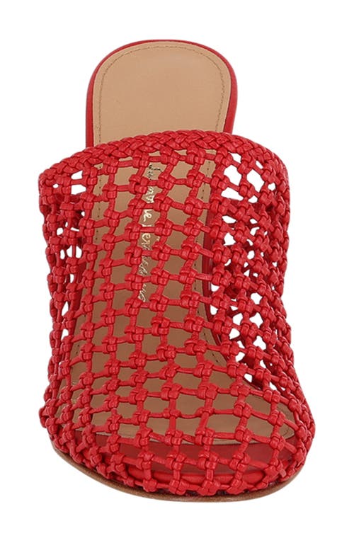 Ferragamo Ellas X5 Caged Leather Heel Mules In Red
