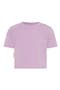 selected Lilac