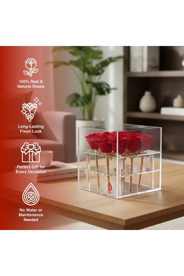 9 Preserved Roses in Acrylic Box, Alternate, color, Red