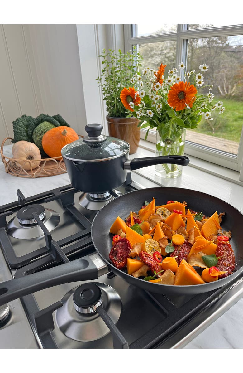 Scanpan Classic 11 Inch Fry Pan, Alternate, color, 