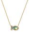 selected Gold Abalone Shell
