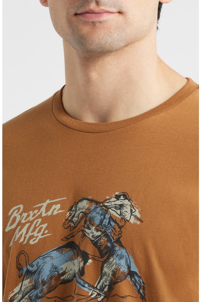Wellston Cotton Graphic T-Shirt, Alternate, color, WASHED COPPER