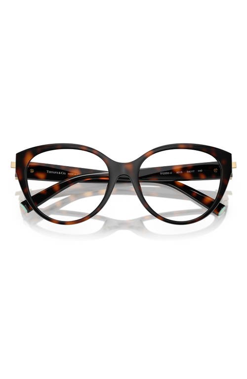 Tiffany & Co . 54mm Cat Eye Optical Glasses In Havana