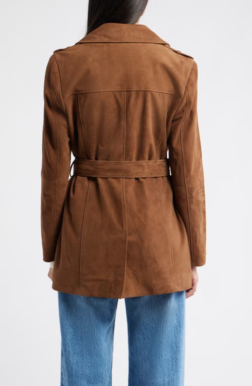 Bernardo Belted Suede Coat In Brown