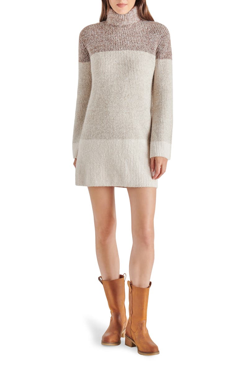 Steve Madden Meghan Colorblock Long Sleeve Turtleneck Sweater Dress, Main, color, 