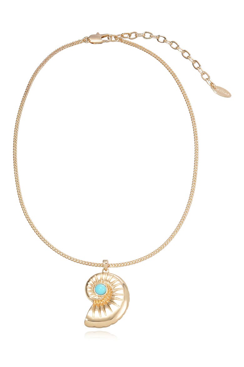 Conch Shell Pendant Necklace, Main, color, TURQUOISE