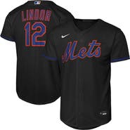 Nike Youth Nike Francisco Lindor Black New York Mets Alternate Replica Jersey