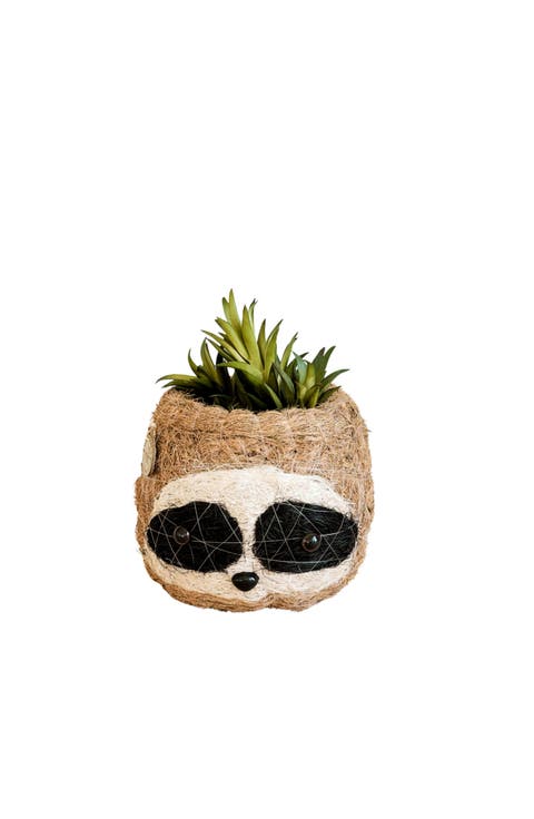 Animal Head Coco Coir Planters