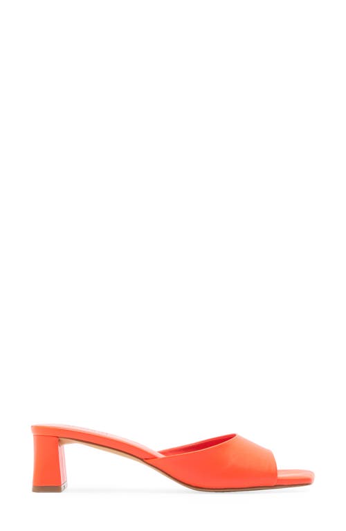 Abound Jenny Mule Sandal