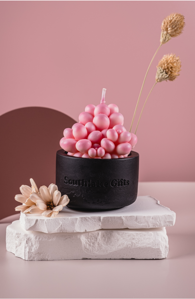 Southlake gifts Pink Succulent Candle in Concrete Vessel, Alternate, color, Pink Moonstones