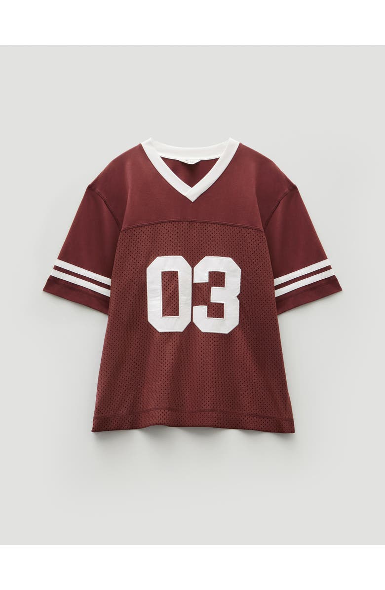 Hush Sporty Graphic T-Shirt, Alternate, color, Rum Raisin