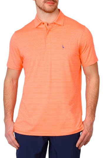 TAILORBYRD TAILORBYRD VARIEGATED STRIPE PERFORMANCE POLO