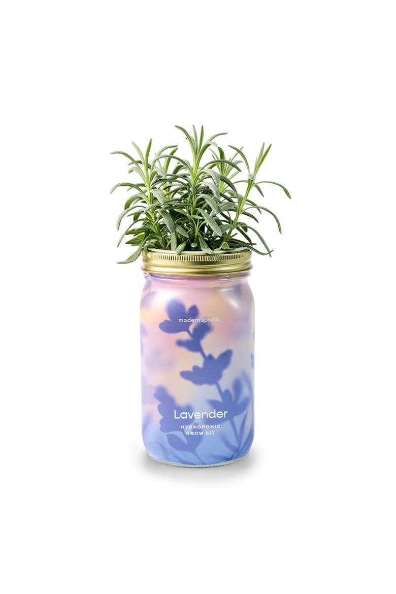 Garden Jar, Alternate, color, Lavender