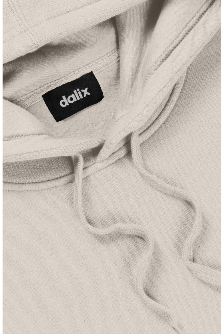 Ghost Midweight Fleece Classic Hooded Sweatshirt, Alternate, color, Bone