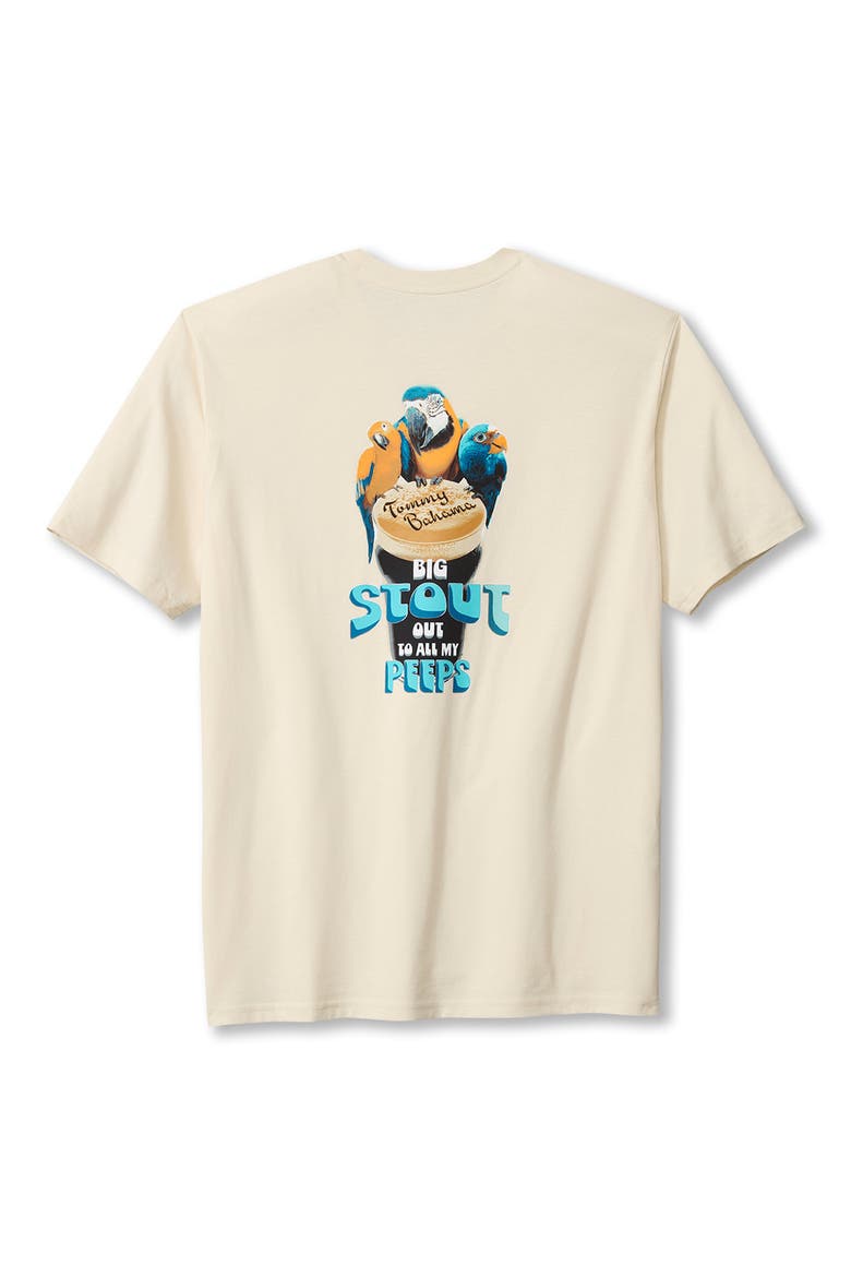 Big Stout Out Pocket Graphic T-Shirt, Alternate, color, VANILLA ICE