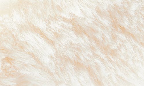 La Fiorentina Faux Shearling Headband In White