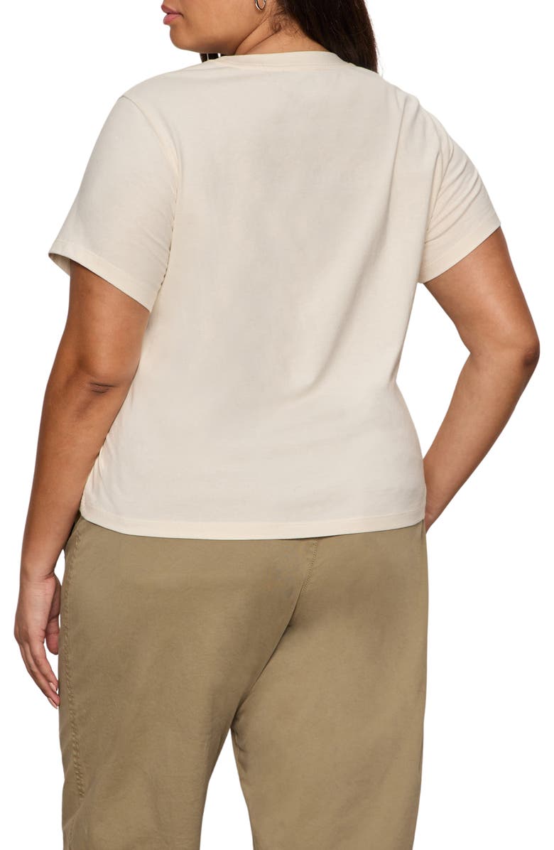 Sanctuary Timeless Dandelion Graphic Organic Cotton T-Shirt, Alternate, color, Collagen White/ Dandelion