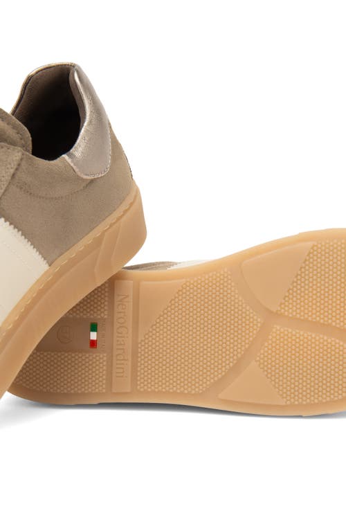 Nerogiardini Retro Low Top Sneaker In Brown