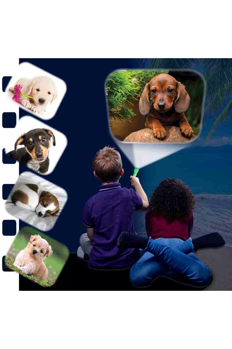 Puppies Torch and Projector, Ages 3+, Alternate, color, Multicolored