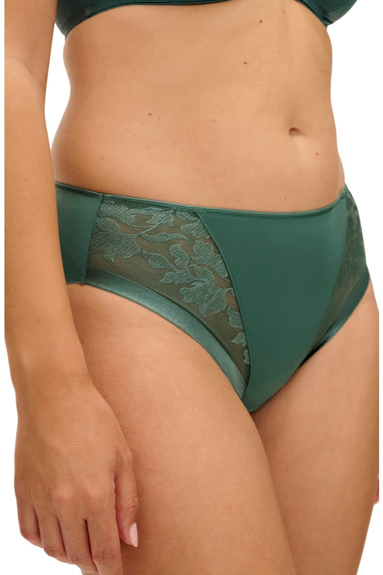 Illusion Full Figure Mesh Briefs, Alternate, color, MEADOW MIST