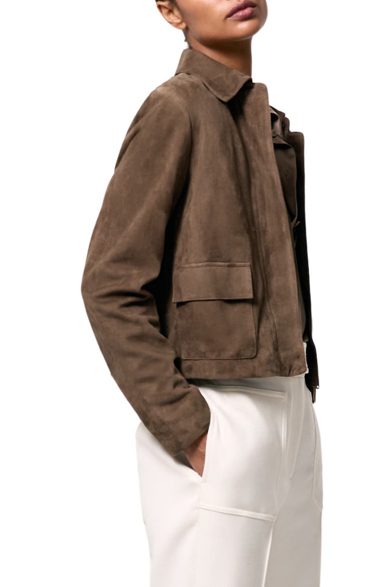 Drew Crop Suede Jacket, Alternate, color, TAUPE NEUTRAL