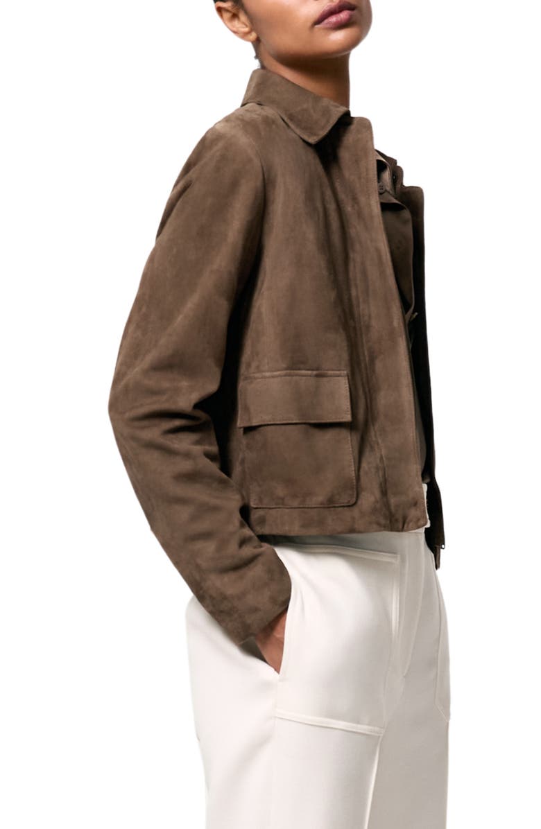 Reiss Drew Crop Suede Jacket, Alternate, color, Taupe Neutral