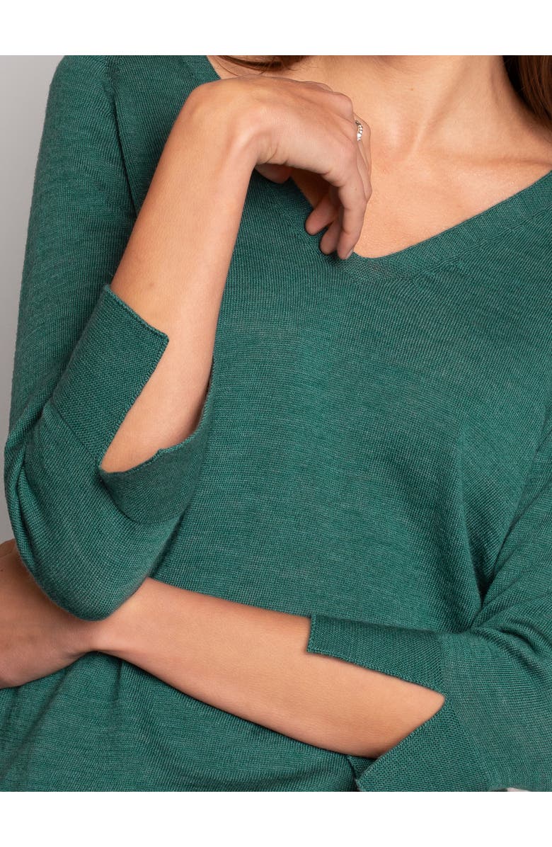 Celtic & Co. Fine Knit Merino V-Neck Sweater, Alternate, color, 