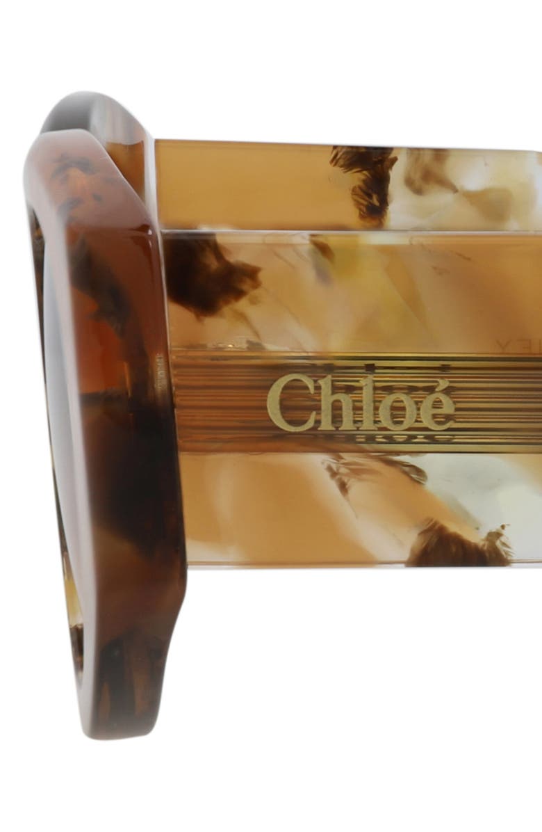 Chloé 51mm Oval Sunglasses, Alternate, color, Havana Havana Brown