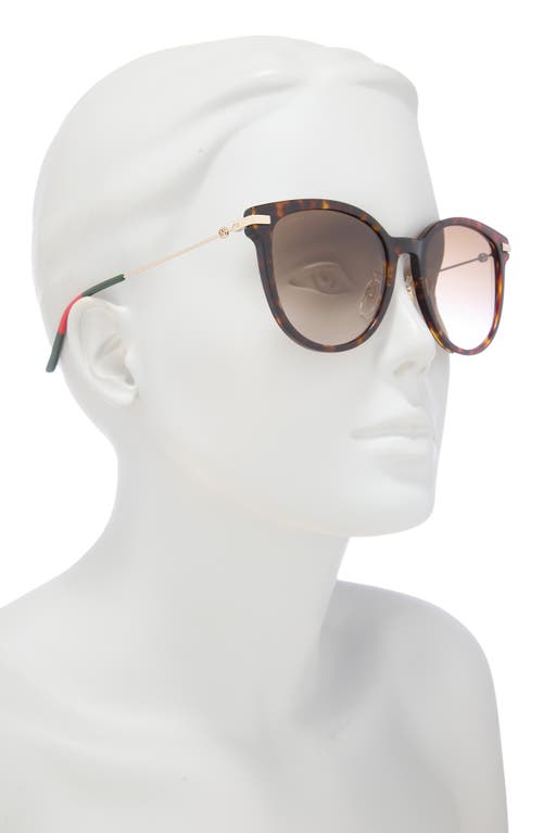 Gucci 56mm Square Sunglasses In Havana Gold Brown