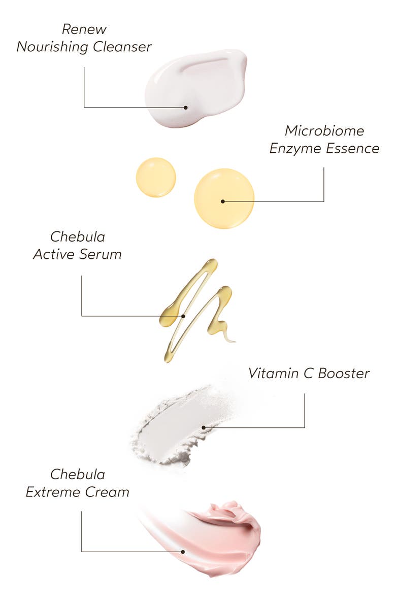 True Botanicals Glowy Radiance Regimen Gift Set $203 Value, Alternate, color, 