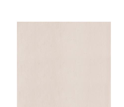 C & F Home C&f Home Pumpkin French Knot Cotton Flour Sack Kitchen Dishtowel In Neutral