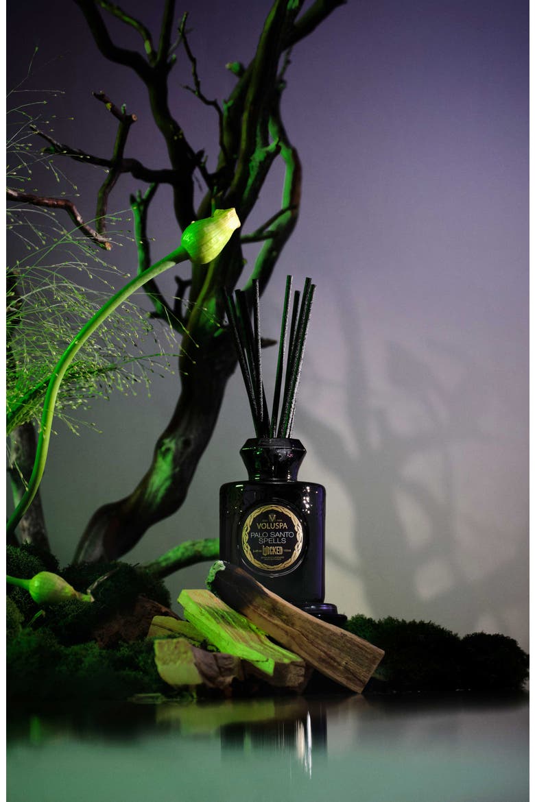 Wicked Collection Palo Santo Spells Reed Diffuser, Alternate, color, NO COLOR