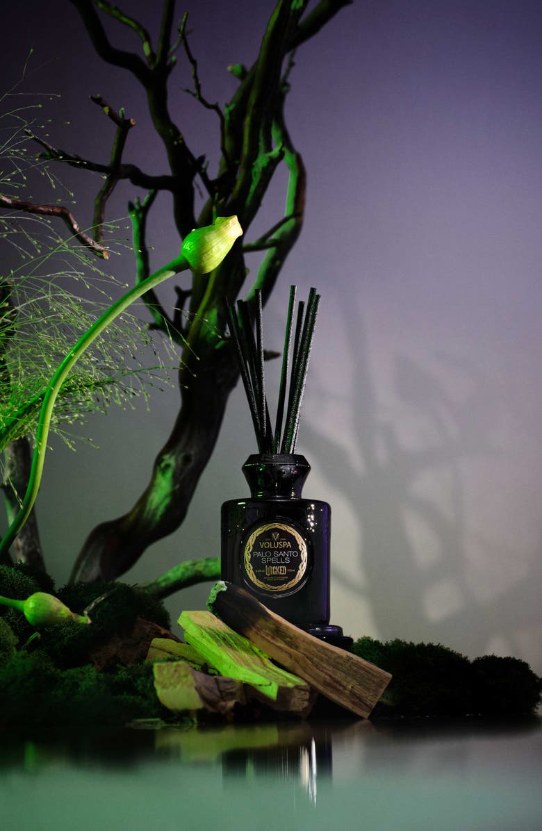 Voluspa Wicked Collection Palo Santo Spells Reed Diffuser, Alternate, color,