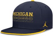Jordan Brand Men's Jordan Brand  Navy Michigan Wolverines True Primetime Performance Fitted Hat