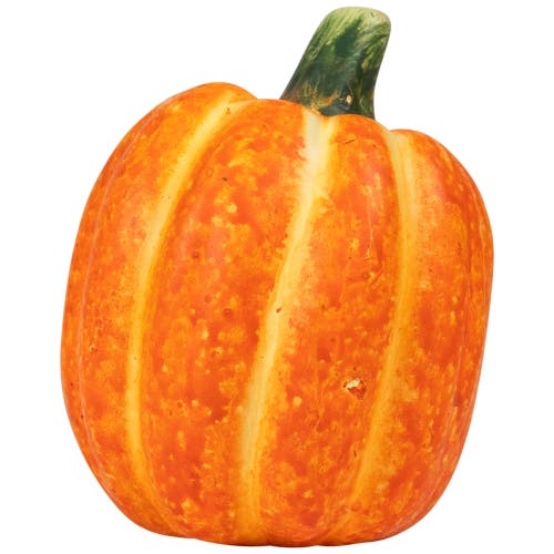 Northlight Mini Ceramic Pumpkins And Gourds Fall Harvest Decorations In Multi