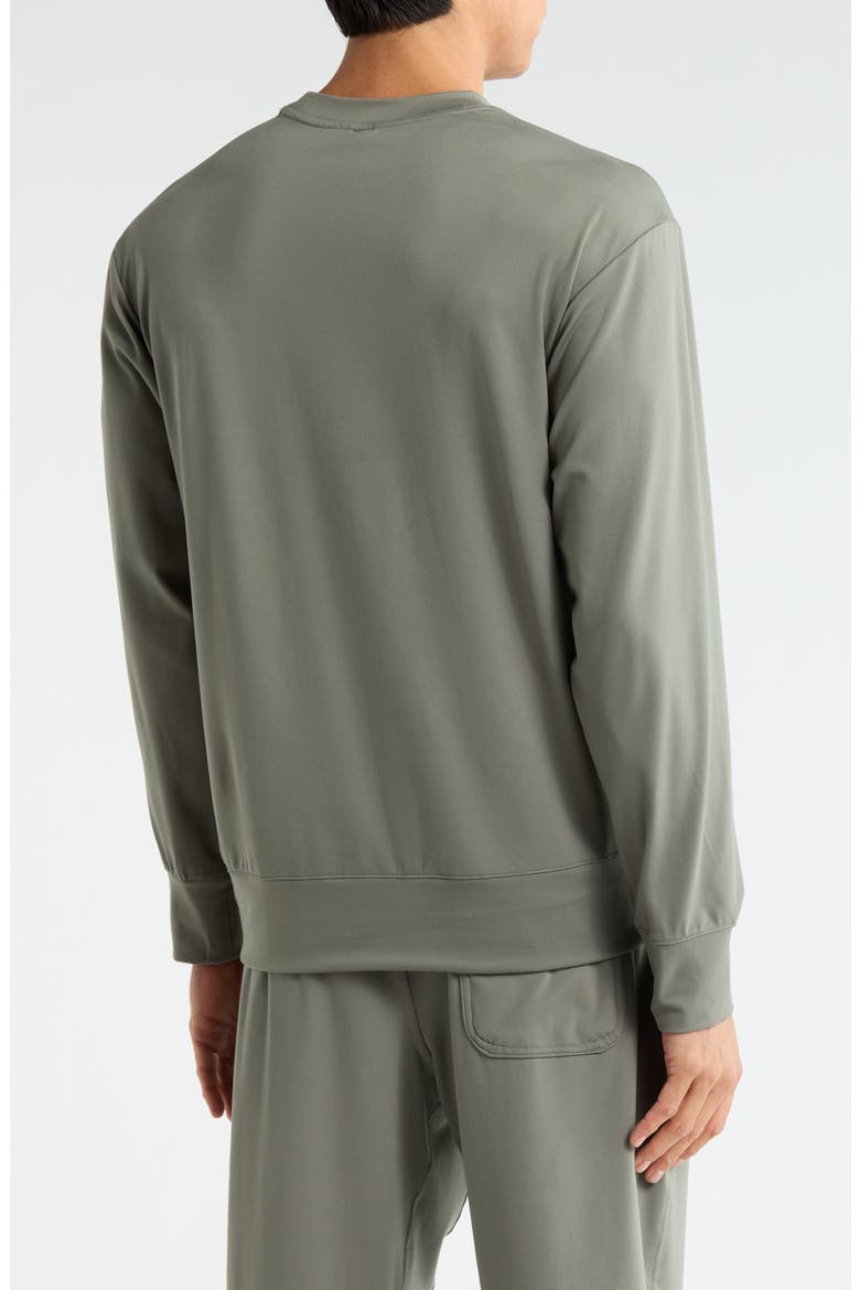 Crewneck Sweatshirt, Alternate, color, MOUNTAIN SAGE