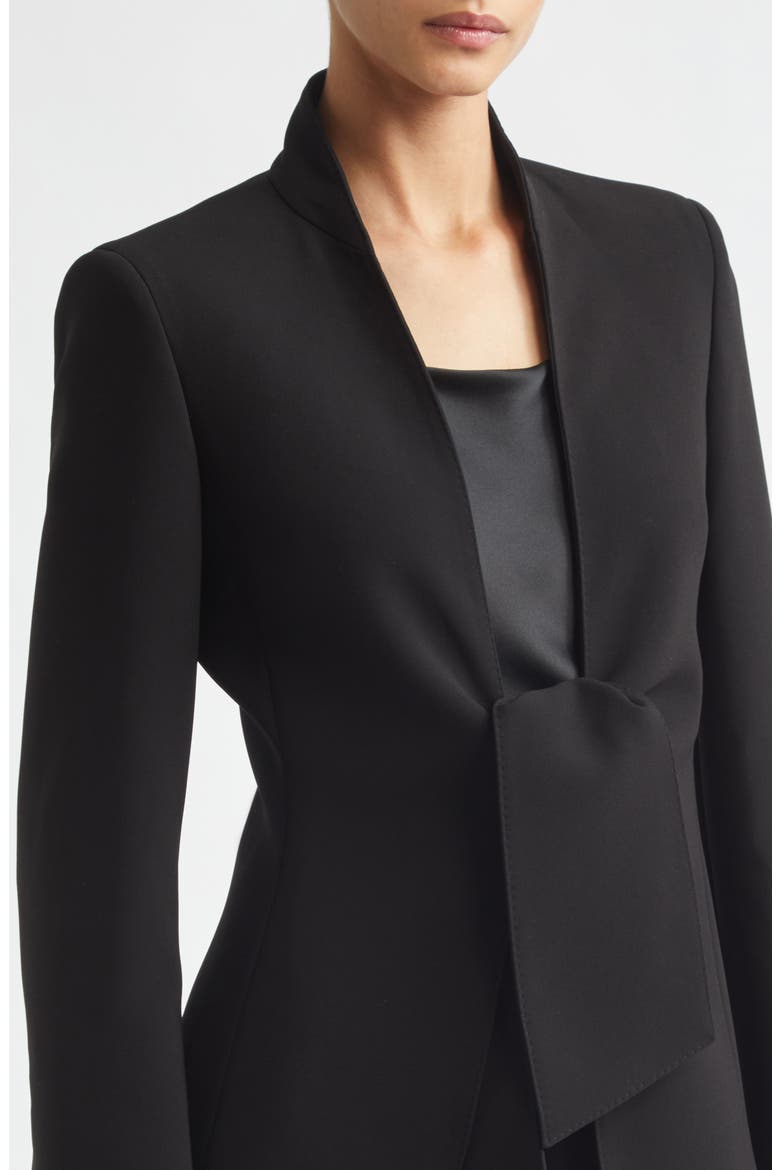 Palo Tie Front Cady Blazer, Alternate, color, BLACK