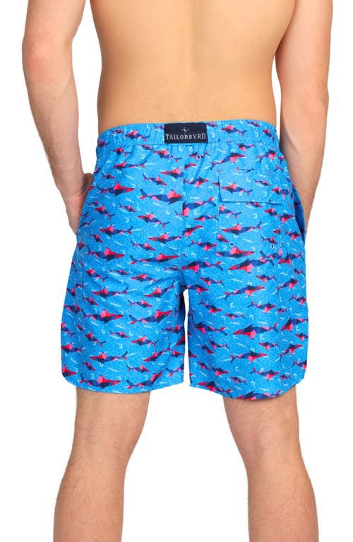 Tailorbyrd Shark Print Swim Trunks In Blue