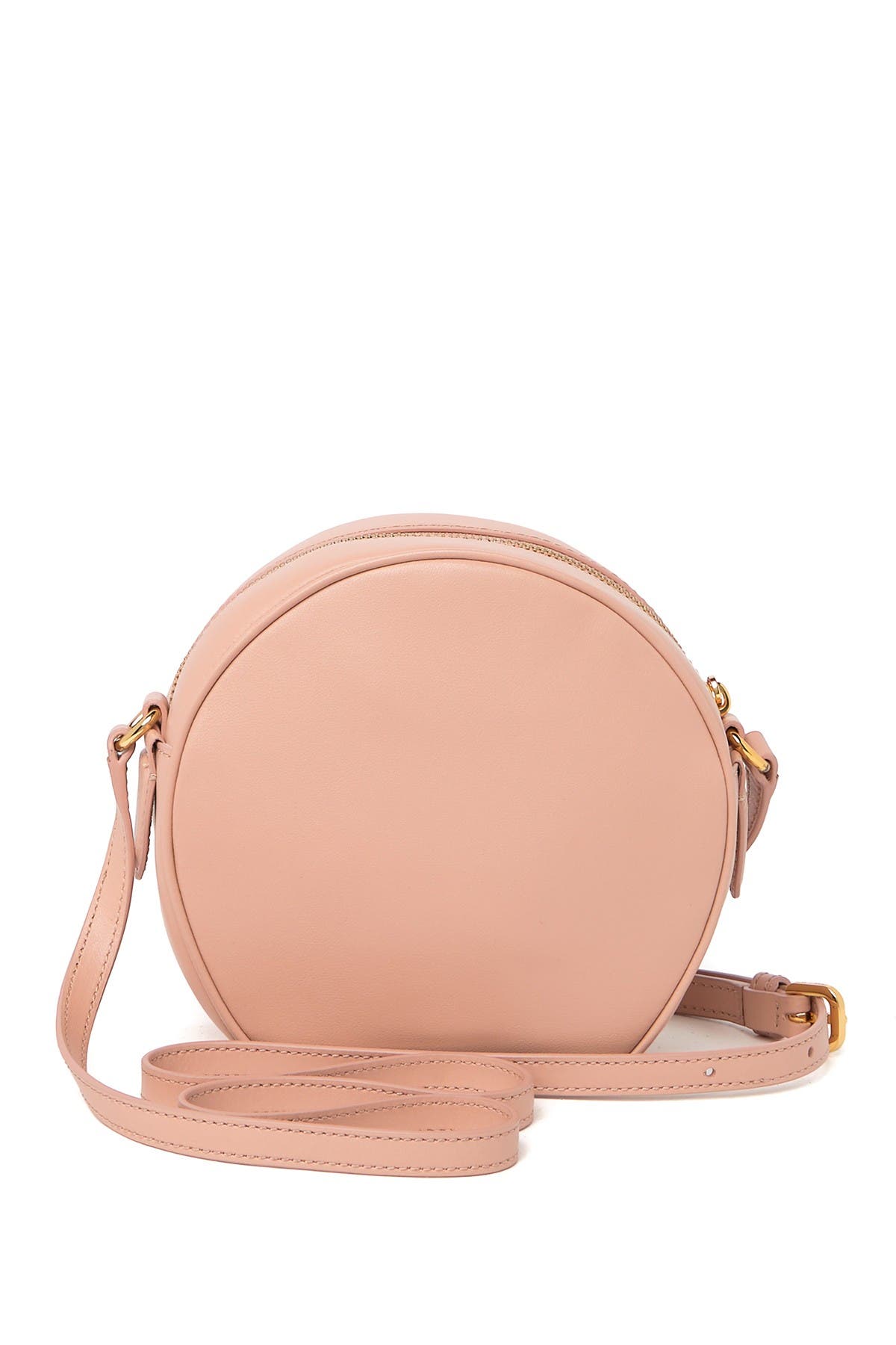Voyager Circle Crossbody Bag, Alternate, color, BALLET