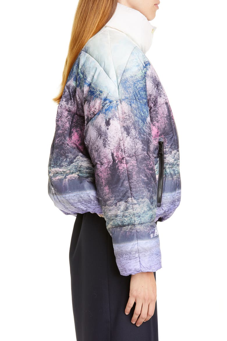 Brietta Graphic Puffer Jacket, Alternate, color, WONDERLAND