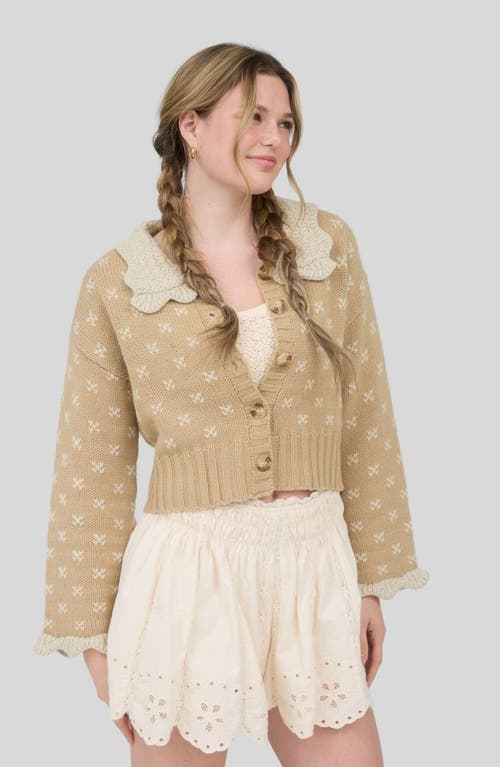 Blu Pepper Knit Collar Cardigan In Brown