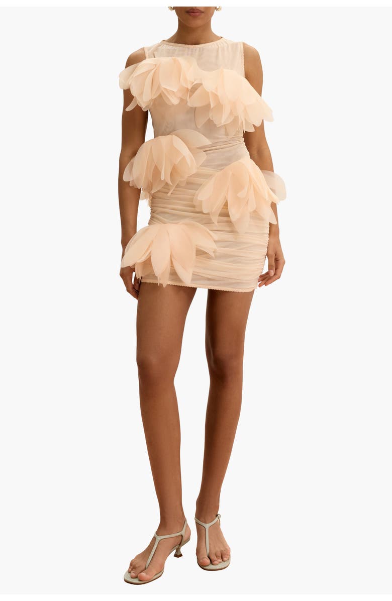 Malva Florea Draped Mini Dress With Oversized Florals, Alternate, color, Light Apricot