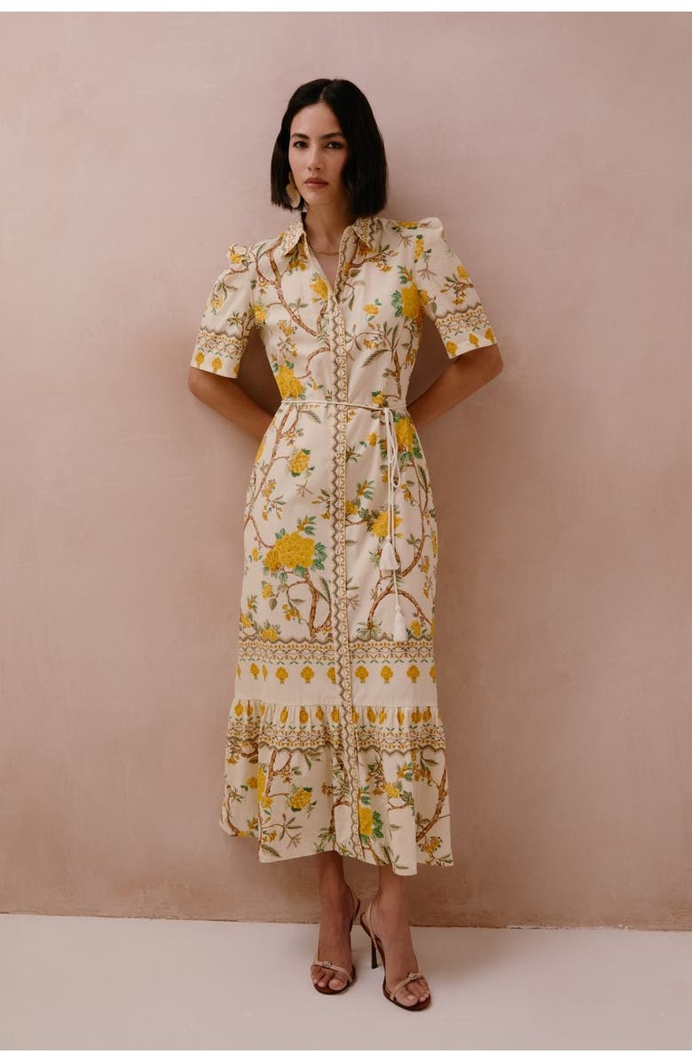 RAISHMA Miranda Dress, Main, color, Floral